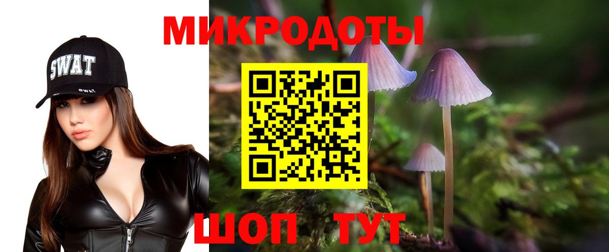 Псилоцибиновые грибы мицелий Котовск